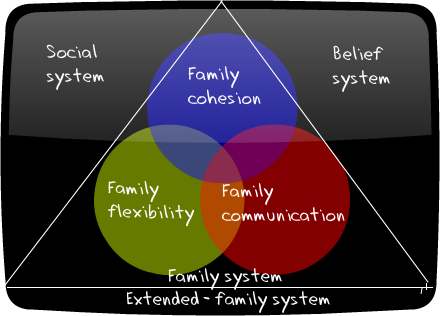 What is the systems theory?