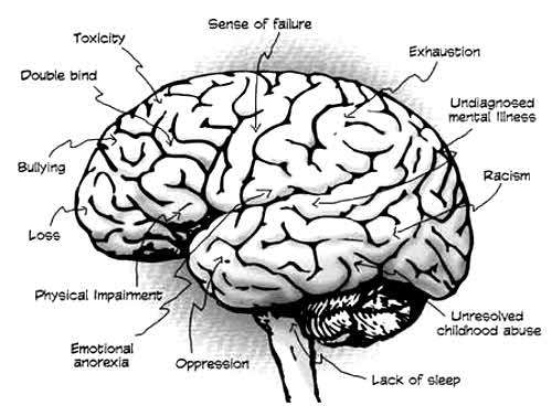 suicide note components mapped on the brain